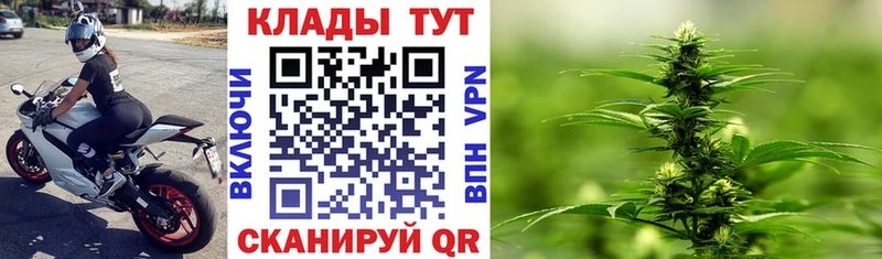 Как найти закладки Нерехта КОКАИН Псилоцибиновые грибы Меф АМФЕТАМИН ГАШ Alpha-PVP Канабис